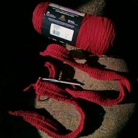 a few rows of crochet