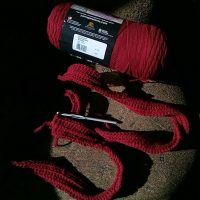 a few rows of crochet