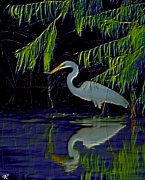 tall bird in water